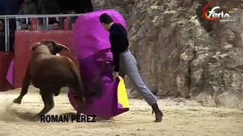 beaucaire-noche-y-toros-2012