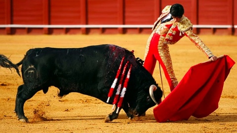 seville-ovation-pour-barrio-et-galvan