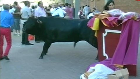 novillada-de-la-feria-de-algeciras