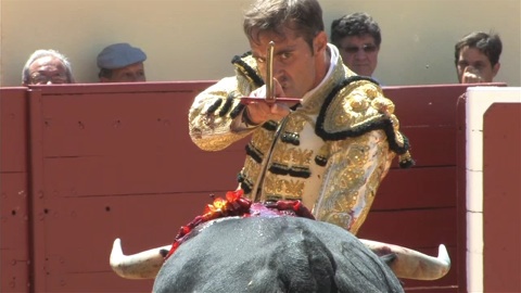 orthez-novillada-de-zaballos