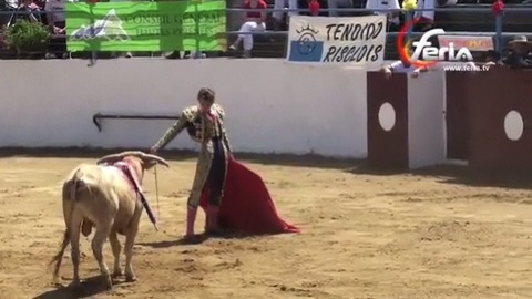 castelnau-riviere-basse-novillada-sp-de-prieto-de-la-cal