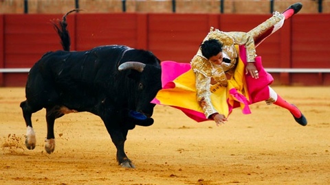 oreille-et-voltereta-pour-sergio-flores