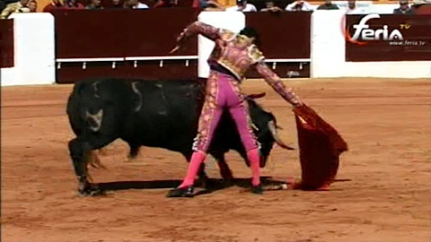 olivenza-triomphe-de-jose-garrido