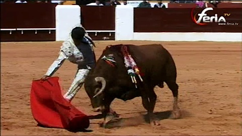 puerta-grande-de-joselito-adame