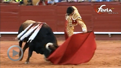 oreille-pour-castella-a-algeciras