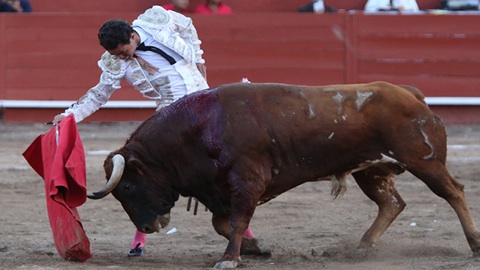 oreille-pour-talavante-sanchez-et-silveti