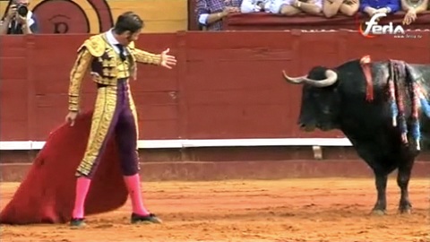 algeciras-ovationne-padilla