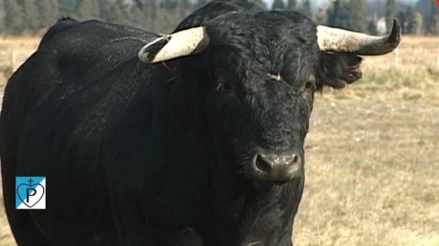 les-pages-mailhan-pour-saint-martin