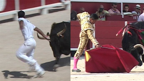 guepard-et-savalli-triomphent-a-palavas