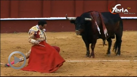 malaga-oreille-pour-ponce