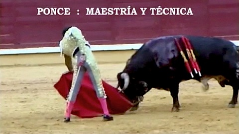 la-tarde-de-ponce-a-cordoba