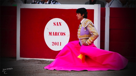 triomphe-de-adame-et-castella-une-oreille