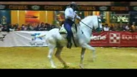 le-salon-du-cheval-de-sevilla