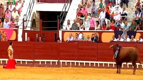 une-oreille-par-coleta-au-puerto