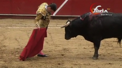 quito-galvan-santamaria-fernandes