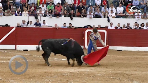 aire-unique-ovation-pour-lamelas