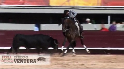 istres-ventura-et-palha-a-hombros