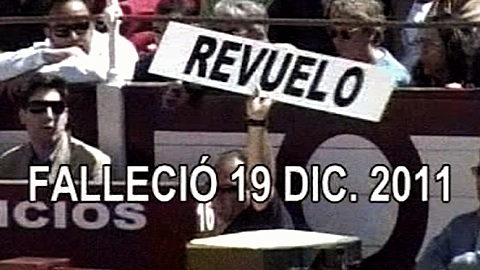 revuelo.jpg