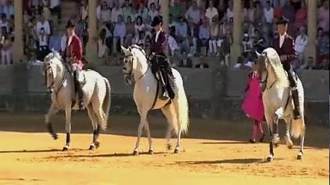 goyesque-de-ronda-corrida-de-rejon