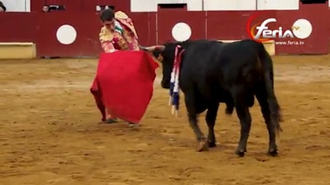 novillada-des-encastes-du-campo-charro