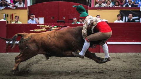 sanjoaninas-segunda-de-feria