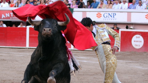 faenon-du-payo-et-triomphe-de-flores