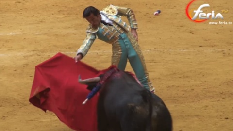 san-sebastian-david-mora-en-torerazo