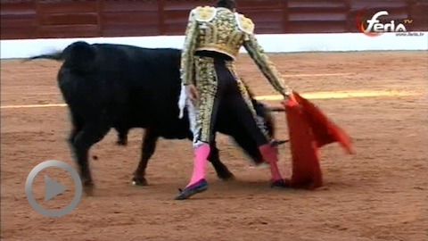 olivenza-magistral-ponce