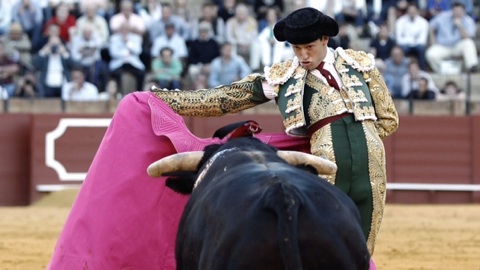 sevilla-oreille-pour-miguel-angel-silva