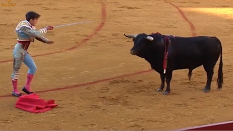 seville-vuelta-de-gonzalo-caballero