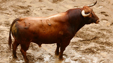 seville-sorteo-jp-domecq-parlade