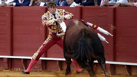 le-plante-de-baton-mr-dusse