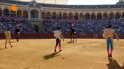 seville-escribano-sauve-les-meubles