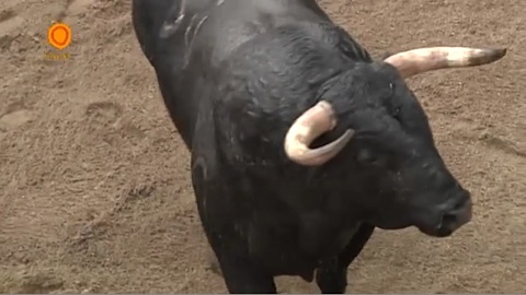 sevilla-sorteo-corrida-de-cayetano-munoz