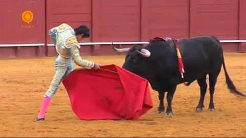 seville-oreille-de-poids-pour-perera