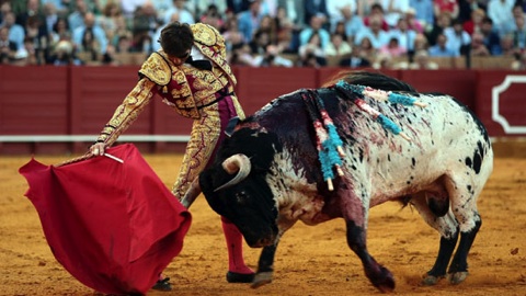sevilla-cordobes-padilla-fandi.jpg