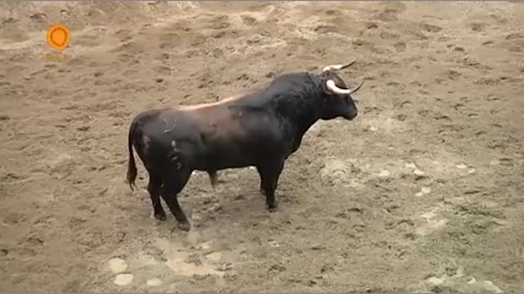 sevilla-sorteo-corrida-de-fuente-ymbro