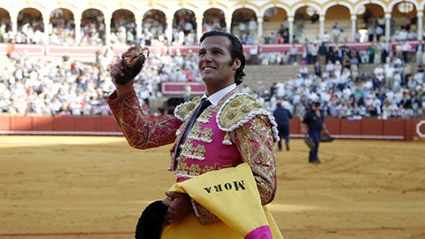 oreille-sur-un-grand-toro-du-pilar