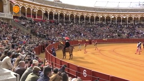 seville-la-maestranza-remet-son-pull