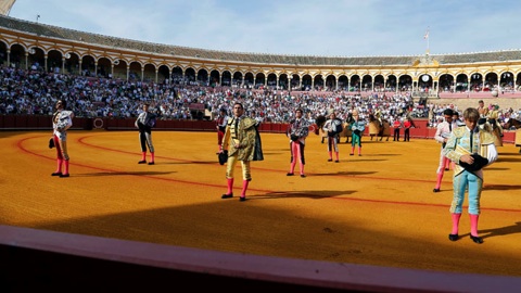 seville-oreille-pour-padilla