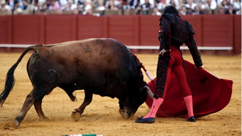 ponce-pinche-le-triomphe-adame-oreille