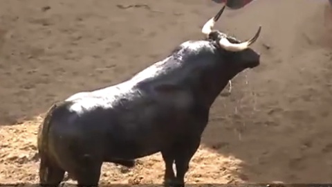 sorteo-seville-daniel-ruiz-et-parlade