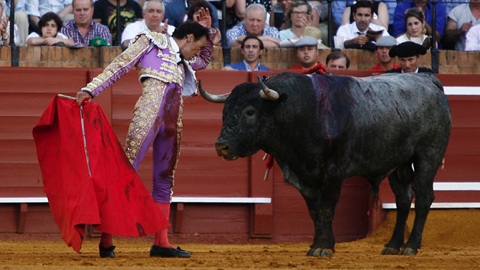 seville-decevante-victorinada