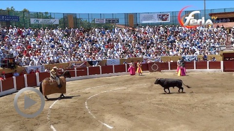 ceret-intersante-novillada-de-raso-de-portillo