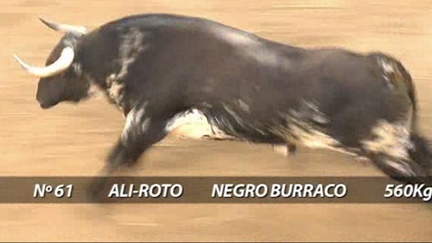 el-ventorillo-pour-ce-soir-a-seville