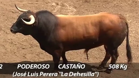 la-san-miguel-ouvre-avec-la-dehesilla