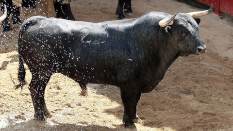 seville-sorteo-victoriano-del-rio