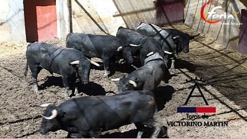 huesca-sorteo-victorino-martin