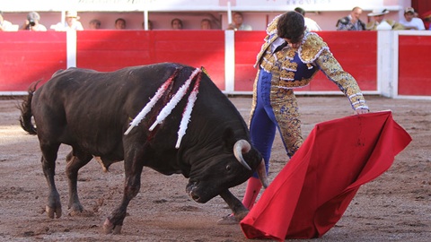 aguascalientes-oreille-pour-talavante