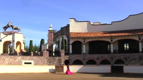 talavante-se-prepare-avant-mexico